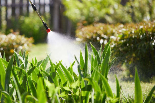 24/7 Emergency Fumigation Services experts in Doffing, TX